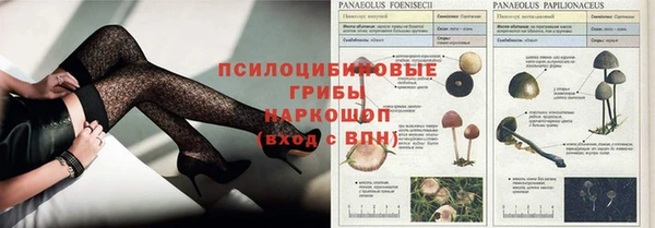 мяу мяу мука Беломорск