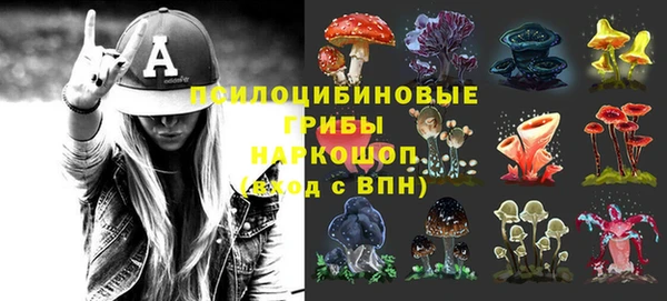 соль ск Белокуриха
