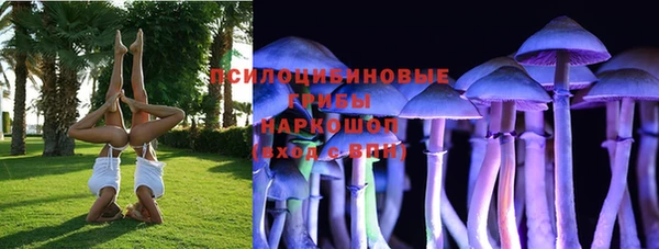каннабис Майский