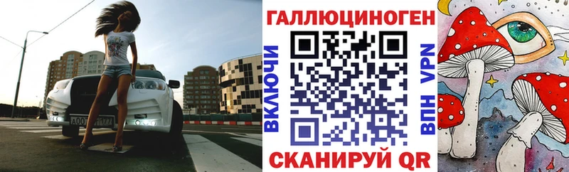Псилоцибиновые грибы Psilocybine cubensis Бирюсинск