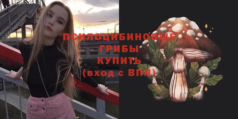 shop клад  Бирюсинск  Псилоцибиновые грибы Cubensis 